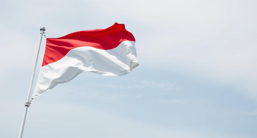 Indonesian - Thai Extradition Treaty